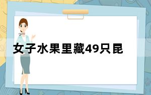 女子水果里藏49只昆虫入境被查 背后真相令人震惊