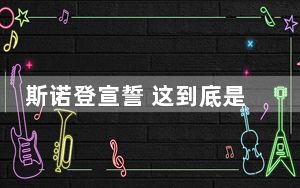 斯诺登宣誓 这到底是怎么回事？