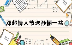 邓超情人节送孙俪一盆菜 背后的真相让人始料未及