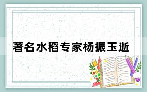 著名水稻专家杨振玉逝世 背后真相实在让人惊愕