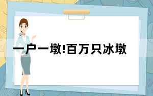 一户一墩!百万只冰墩墩到货啦 背后真相实在让人惊愕