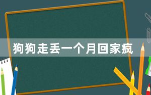 狗狗走丢一个月回家疯狂撞门 背后真相实在让人惊愕