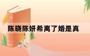 陈晓陈妍希离了婚是真的吗 背后真相让人感到惊讶