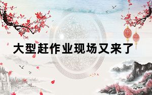 大型赶作业现场又来了 网友：可是我的作业都写不完了啊!