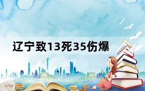 辽宁致13死35伤爆炸事故:48人被问责 安全生产设施不符合标准！