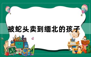 被蛇头卖到缅北的孩子:差点被关兽笼和老虎睡觉 不愿意去骗钱就要受罚！