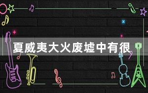 夏威夷大火废墟中有很多X字样 这意味着什么？