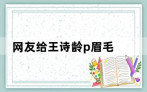 网友给王诗龄p眉毛 网友：一定是眉型影响了她的美貌！