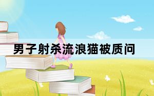 男子射杀流浪猫被质问时嚣张承认  内幕曝光简直太意外了