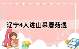 辽宁4人进山采蘑菇遇暴雨2死2失联 失联的两人疑似是夫妻！
