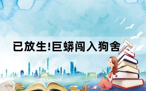 已放生!巨蟒闯入狗舍生吞一只30斤狗 网友：尝到甜头下次还会来的！！