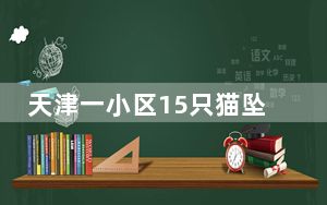 天津一小区15只猫坠亡 警方回应：不是人为恶意抛猫