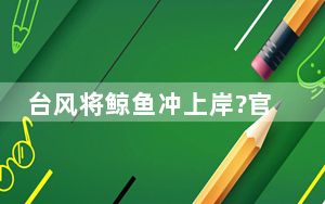 台风将鲸鱼冲上岸?官方回应 没有这样的情况！