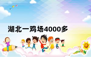 湖北一鸡场4000多只鸡被热死 预计损失金额超20万元！