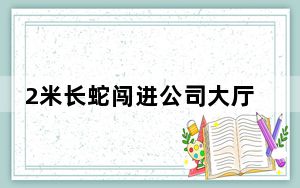2米长蛇闯进公司大厅吓跑员工 这一幕令人心惊胆战！