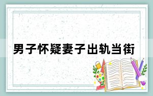 男子怀疑妻子出轨当街捅死2人  背后真相令人感到震惊