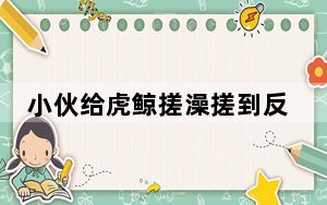 小伙给虎鲸搓澡搓到反光掉色 这才是真的带薪摸鱼啊！