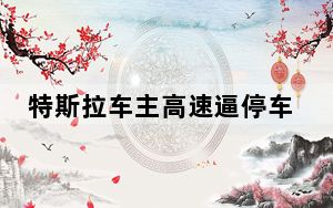特斯拉车主高速逼停车辆斗气被刑拘 这到底是怎么回事？