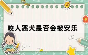 咬人恶犬是否会被安乐死?警方回应 背后真相实在令人震惊