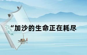 “加沙的生命正在耗尽” 背后真相实在令人震惊