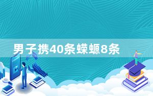 男子携40条蝾螈8条蛇3只蜥蜴入境 背后真相实在令人震惊