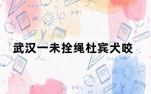 武汉一未拴绳杜宾犬咬人被没收 背后真相实在令人震惊