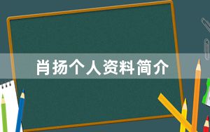 肖扬个人资料简介