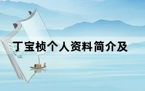 丁宝桢个人资料简介及家世