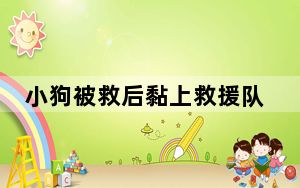 小狗被救后黏上救援队队员  背后真相实在令人感到惊愕