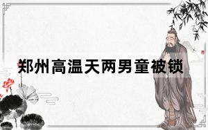 郑州高温天两男童被锁车内昏睡  背后真相实在令人感到惊愕