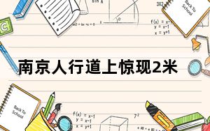 南京人行道上惊现2米长大蛇 背后真相令人震惊