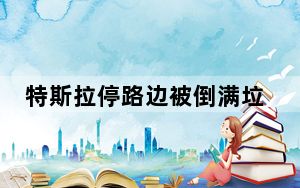 特斯拉停路边被倒满垃圾 画面曝光简直不忍直视 背后真相令人震惊
