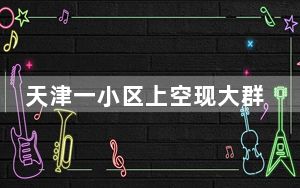 天津一小区上空现大群黑鸟盘旋飞叫 背后的真相让人始料未及