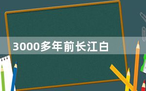 3000多年前长江白鲟被刻在金带上 背后真相令人震惊