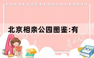 北京相亲公园图鉴:有人坚持5年 背后真相令人震惊