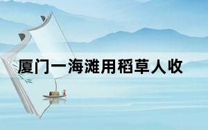 厦门一海滩用稻草人收烧烤签子  这到底是怎么回事？