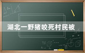 湖北一野猪咬死村民被民警击毙 这到底是怎么回事？