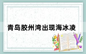 青岛胶州湾出现海冰凌景观 背后真相实在令人震惊 背后的真相让人始料未及