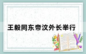 王毅同东帝汶外长举行会谈：支持东帝汶早日正式加入东盟大家庭