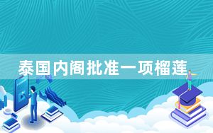 泰国内阁批准一项榴莲出口标准条例