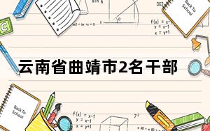 云南省曲靖市2名干部主动投案接受审查调查