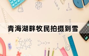 青海湖畔牧民拍摄到雪豹身影
