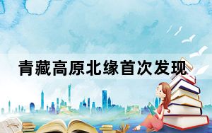 青藏高原北缘首次发现大型碳酸岩型铌矿资源