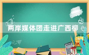 两岸媒体团走进广西柳州 “打卡”新能源汽车、螺蛳粉