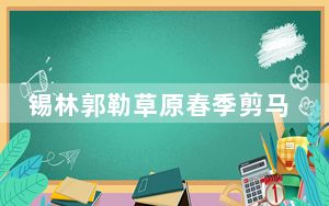 锡林郭勒草原春季剪马鬃活动：马背勇敢者的游戏