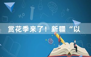 赏花季来了！新疆“以花为媒”颜值变产值