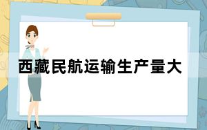 西藏民航运输生产量大幅攀升 助力地方经济社会高质量发展