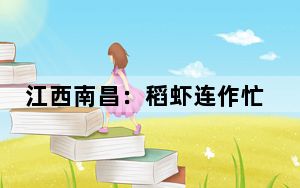 江西南昌：稻虾连作忙 “水上春耕”正当时