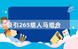 吸引265组人马组合参赛，这项国际马联赛事在京收缰