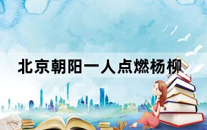 北京朝阳一人点燃杨柳絮引发火灾，被行拘十日